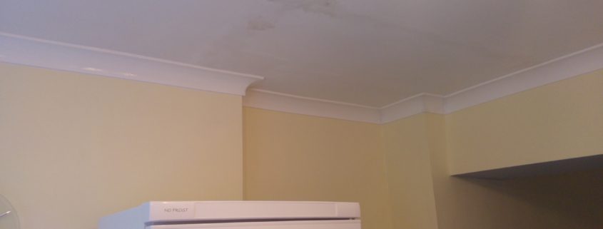 Coving After WSM 009